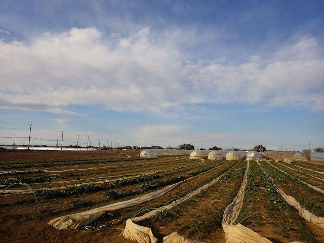 Land for Sale in Hokota, Ibaraki - 145 sqm - Thumbnail 2