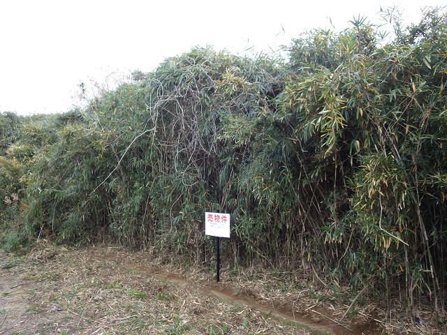 Land for Sale in Hokota, Ibaraki - 145 sqm - Thumbnail 4
