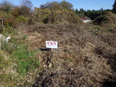 266 sqm Land for Sale in Midori Ward, Chiba City — Land, Midori, Chiba