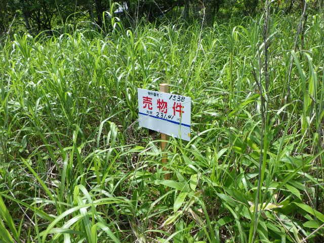 Land for Sale in Tomakomai, Hokkaido - Thumbnail 4