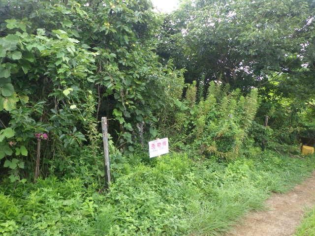 238 sqm Land for Sale in Hirakawa-cho, Chiba City - Thumbnail 2