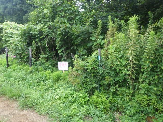 238 sqm Land for Sale in Hirakawa-cho, Chiba City - Thumbnail 3