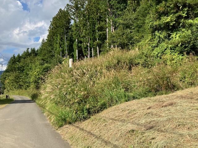 Land for Sale in Oshino Village, Yamanashi - 4,376 sqm - Thumbnail 2
