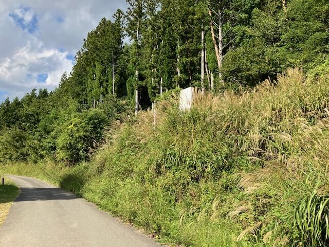 Land for Sale in Oshino Village, Yamanashi - 4,376 sqm - Thumbnail 3