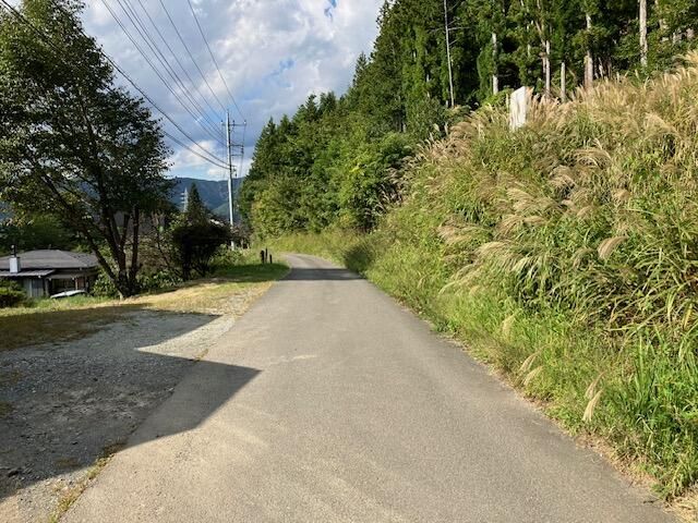 Land for Sale in Oshino Village, Yamanashi - 4,376 sqm - Thumbnail 4