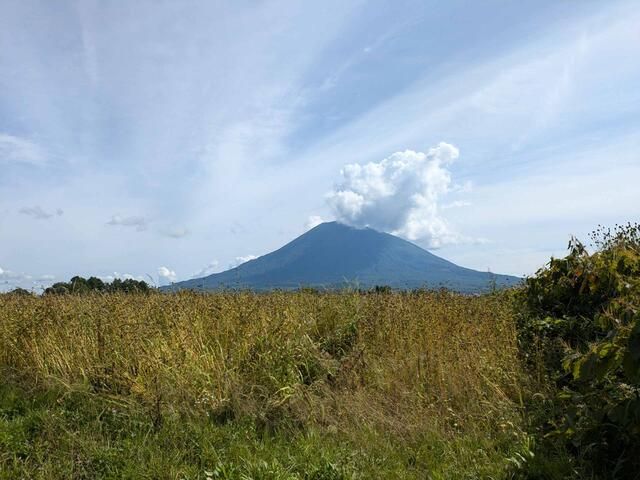 Land for Sale in Kutchan, Hokkaido - 1486 sqm - Thumbnail 2
