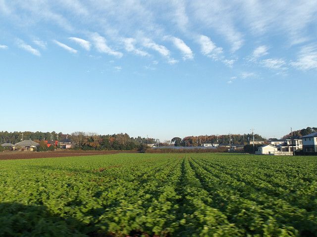 Land for Sale in Nakai, Hokota City, Ibaraki - 297.85 sqm - Thumbnail 3