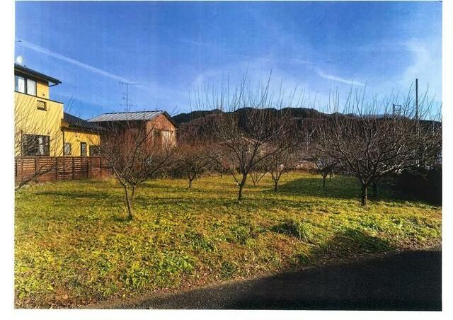 558 sqm Land for Sale in Ome City, Tokyo - Thumbnail 2