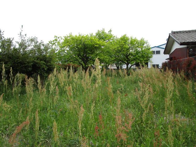 Land for Sale in Higashimatsuyama, Saitama - 250 sqm - Thumbnail 3