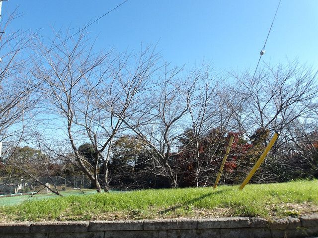 Land for Sale in Higashiagatsuma, Chiba - 300 sqm Plot - Thumbnail 4