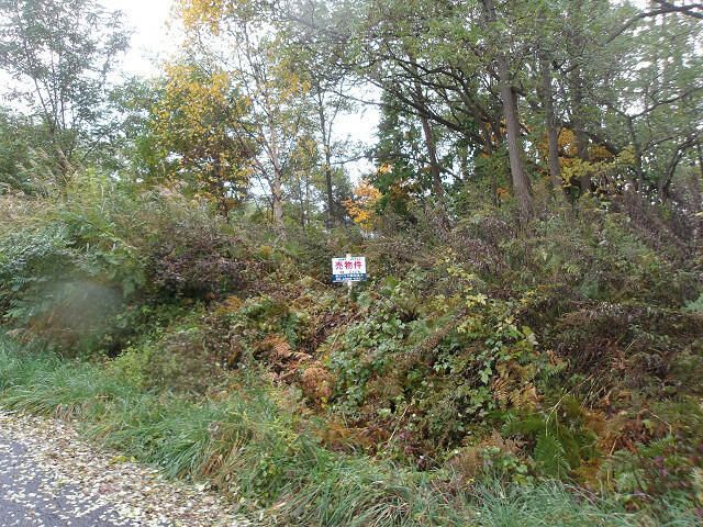 Land for Sale in Asahikawa, Hokkaido - 510 sqm - Thumbnail 4