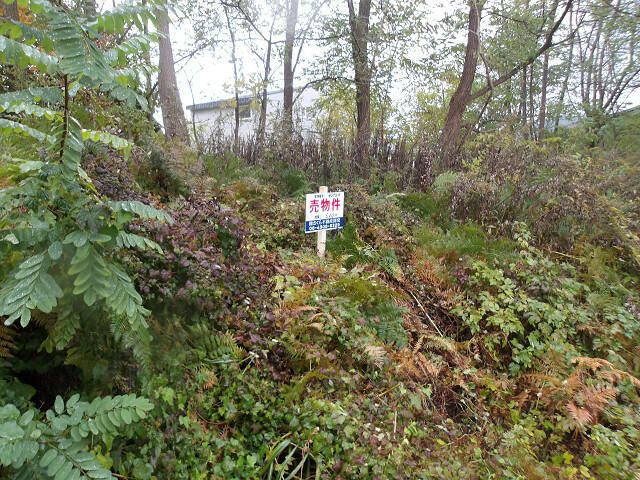 Land for Sale in Asahikawa, Hokkaido - 510 sqm - Thumbnail 3