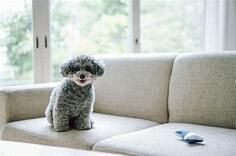 Modern 2LDK Apartment for Rent in Tsuru City, Yamanashi - Thumbnail 4