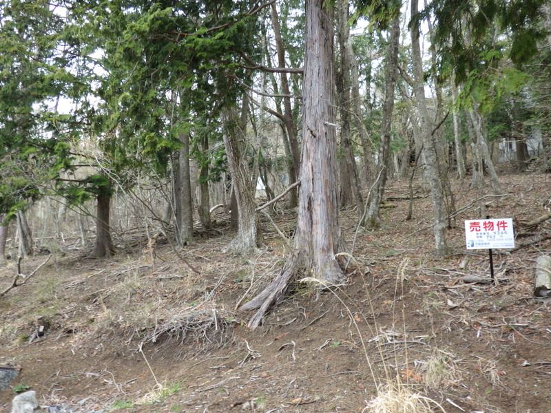 Land for Sale in Yamanakako Village, Yamanashi | 943 sqm Plot - Thumbnail 3