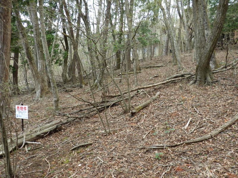 Land for Sale in Yamanakako Village, Yamanashi | 943 sqm Plot - Thumbnail 4