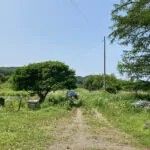 Land with Sheds in Teshikaga, Hokkaido - Spring Water Stream - Thumbnail 3