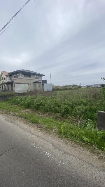 1126 sqm Land for Sale in Izumi, Kagoshima - Flat Plot for Development - Thumbnail 3