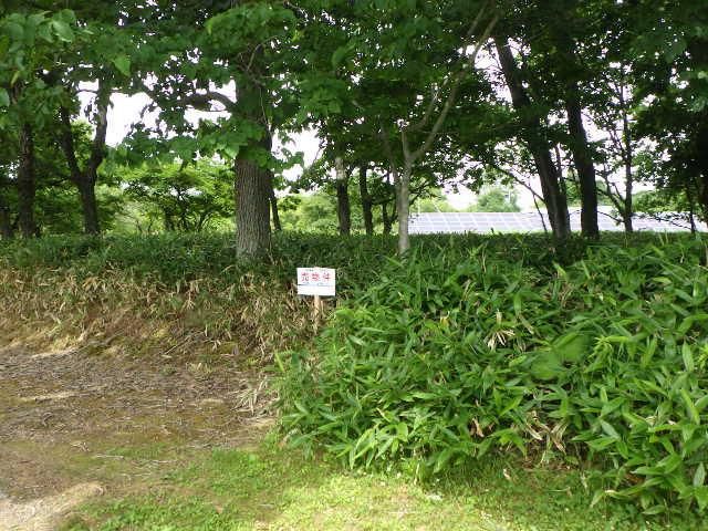 690 sqm Land for Sale in Tomakomai, Hokkaido - Thumbnail 4