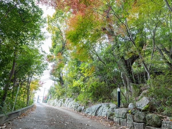 Spacious 2016 3LDK House on Large Plot in Nishinomiya's Koyo-en - Thumbnail 4