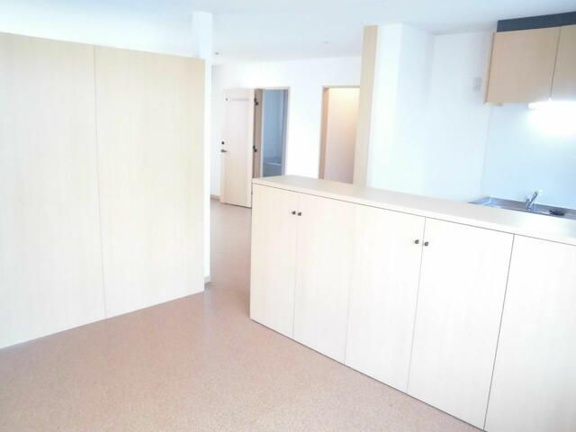 Studio Apartment for Rent in Koganei, Tokyo – 46.37 sqm - Thumbnail 4
