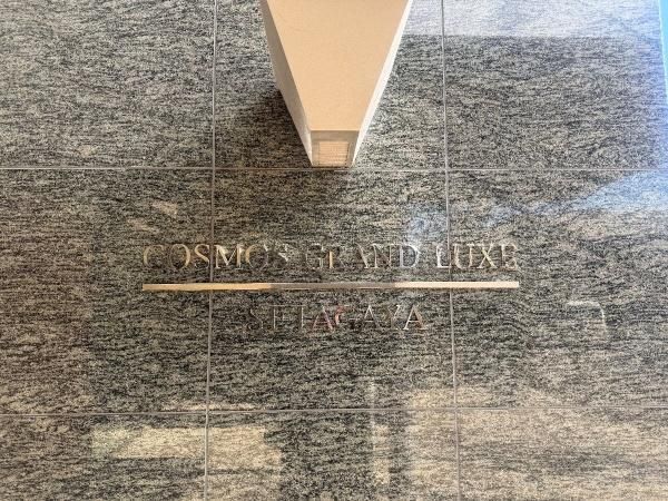 Cosmo Grand Luxe Setagaya 2SLDK Condo for Sale in Tokyo - Thumbnail 3