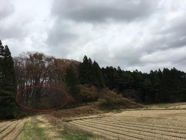 662 sqm Land for Sale in Nasu, Tochigi - Thumbnail 2