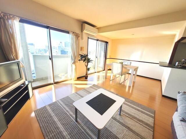 Pet-Friendly 1LDK Apartment in Kashiwa 808 Tower, Chiba - Thumbnail 2