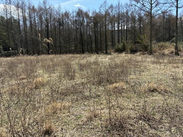 Land for Sale in Oshino Village, Yamanashi - 2120 sqm Plot - Thumbnail 4