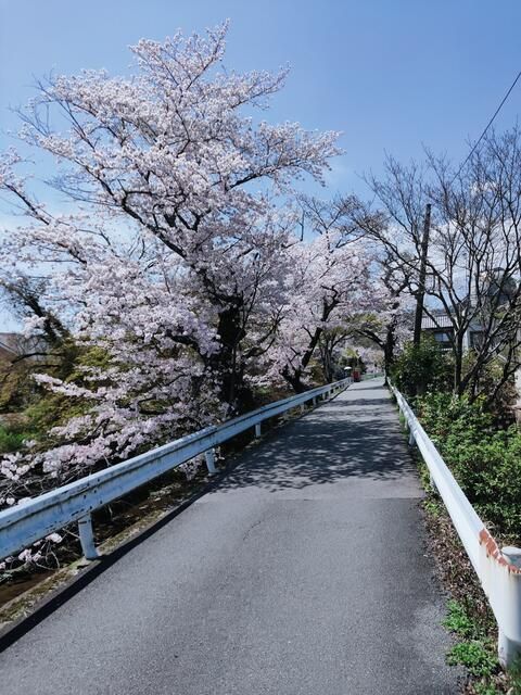4LDK Detached House for Sale in Nishikyo Ward, Kyoto - Thumbnail 3
