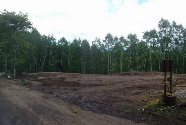 Lease Land Near Lake Yamanaka for Business or Glamping - Thumbnail 4