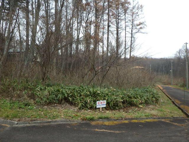 Land for Sale in Hachimantai, Iwate 409 sqm - Thumbnail 3