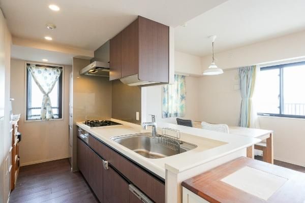 Park Homes Moto-Sumiyoshi Terrace 2LDK Apartment for Sale in Kawasaki - Thumbnail 3