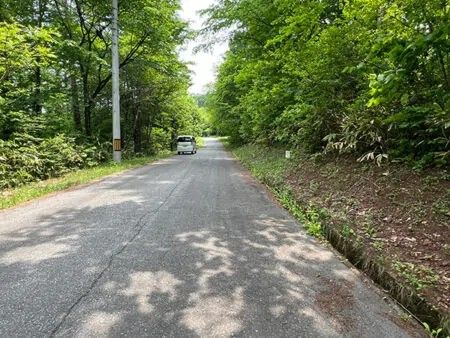 304 Tsubo Land for Sale Next to Reisenji Lake in Iizuna, Nagano - Thumbnail 4