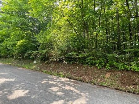 304 Tsubo Land for Sale Next to Reisenji Lake in Iizuna, Nagano - Thumbnail 2