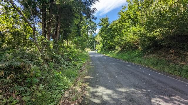 Land for Sale in Ichinoseki City, Iwate - 7,739 sqm - Thumbnail 2