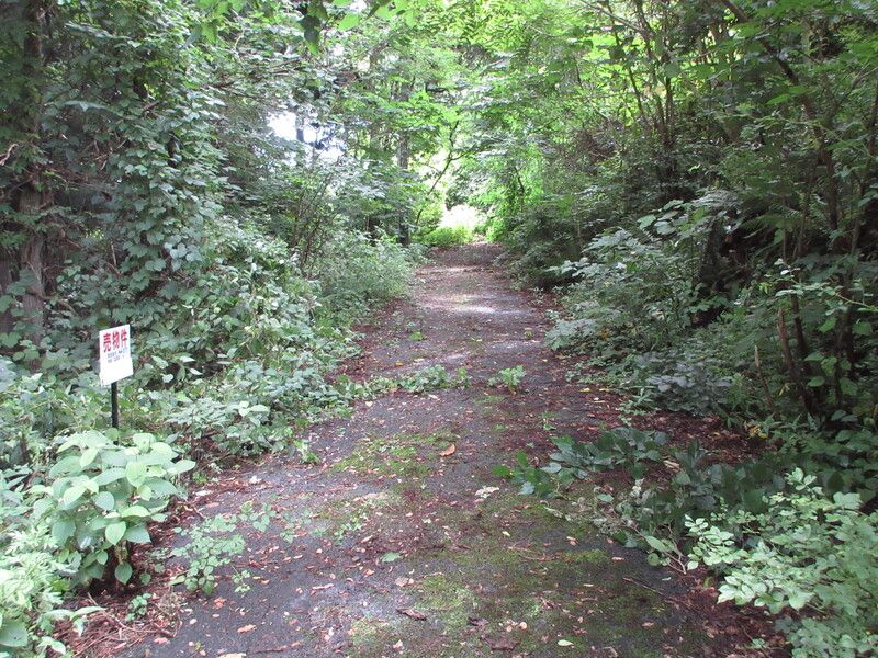 Land for Sale in Inawashiro Town, Fukushima Prefecture - Thumbnail 2
