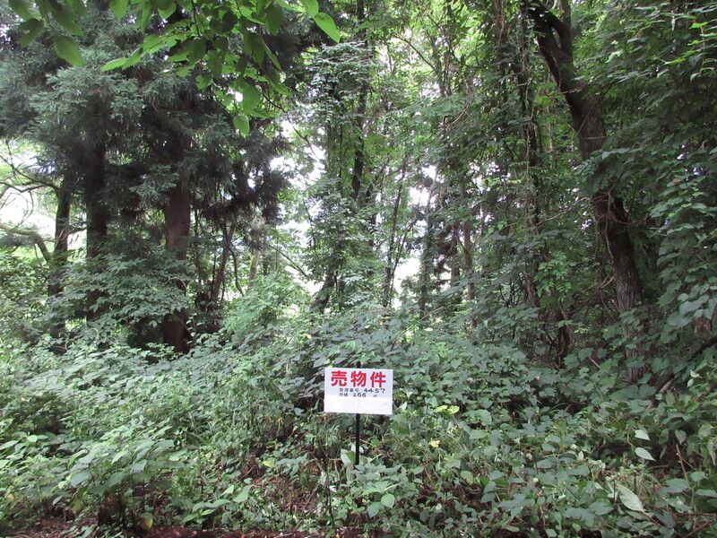 Land for Sale in Inawashiro Town, Fukushima Prefecture - Thumbnail 4