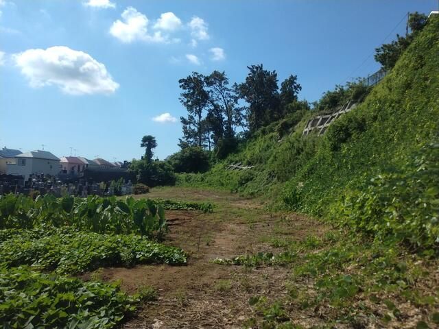 2350 sqm Residential Land for Sale in Atsugi, Kanagawa - Thumbnail 2
