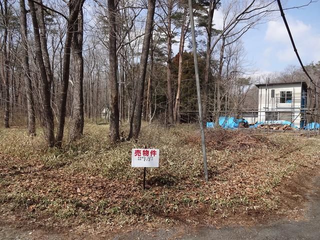 Land for Sale in Nasushiobara, Tochigi - 212 sqm - Thumbnail 2
