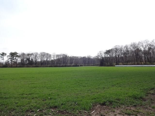 Land for Sale in Nasushiobara, Tochigi - 212 sqm - Thumbnail 4