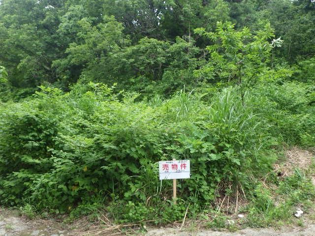 Land for Sale in Minamiuonuma, Niigata - 330 sqm Corner Plot - Thumbnail 4