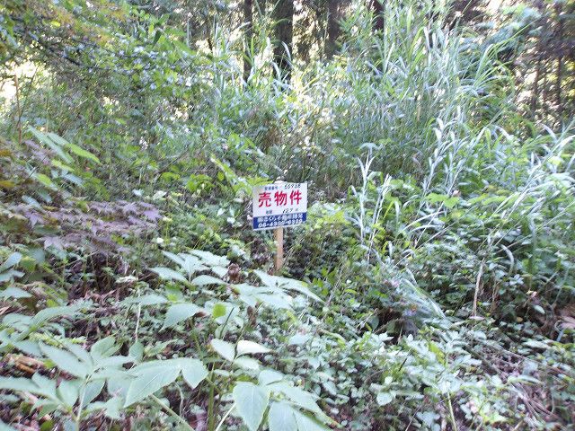 Land for Sale in Agano City, Niigata - 127 sqm - Thumbnail 3