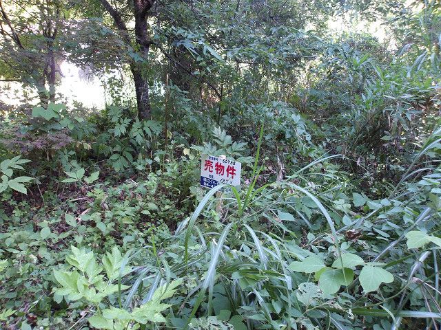 Land for Sale in Agano City, Niigata - 127 sqm - Thumbnail 2