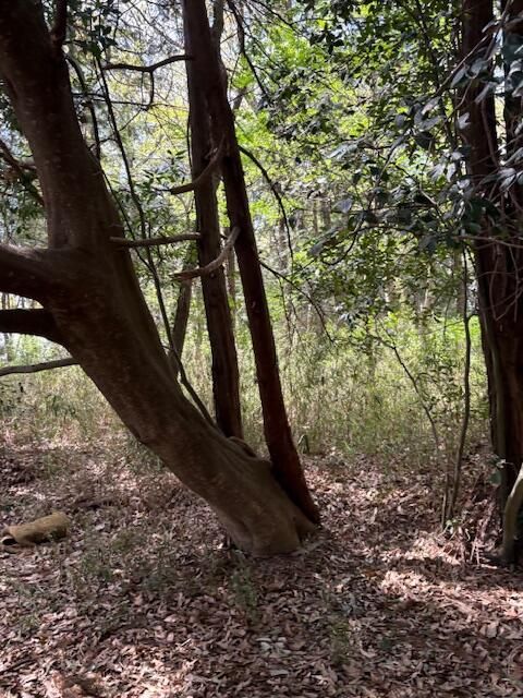 5,293 sqm Residential Land for Sale in Tsuchiura, Ibaraki - Thumbnail 2