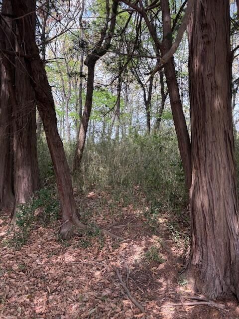 5,293 sqm Residential Land for Sale in Tsuchiura, Ibaraki - Thumbnail 3