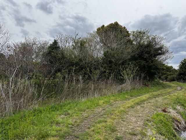 2380 sqm Land for Sale in Togane, Chiba - Thumbnail 2