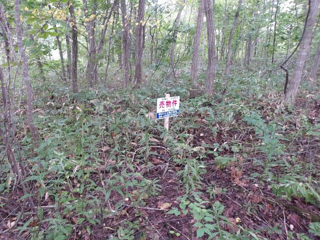 429 sqm Land Plot for Sale in Kitahiroshima, Hokkaido - Image 1