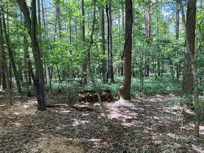 A corner lot in Fujimi Kogen, a quiet forest with many resorts: villas, real estate, properties for sale, Hometown Information Center: Nationwide rural living property data — Land, Fujimi, Nagano