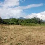 Land with Garden Plot in Fujimi Nagano Near Yatsugatake - Thumbnail 3