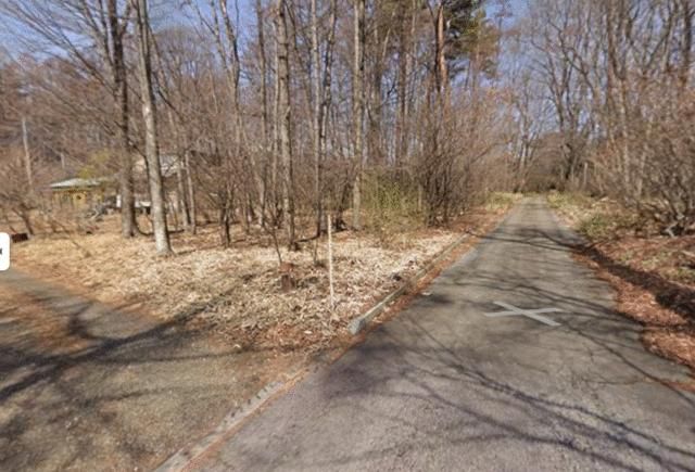 Land for Sale in Hokuto, Yamanashi - 1046 sqm Forest Plot - Thumbnail 2